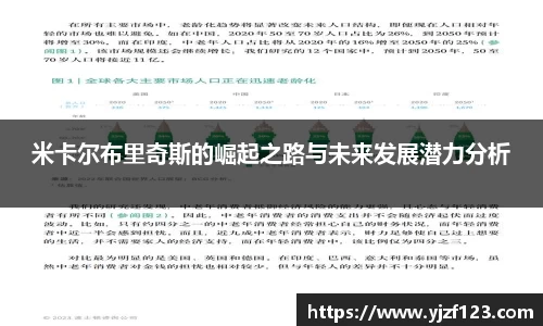 米卡尔布里奇斯的崛起之路与未来发展潜力分析